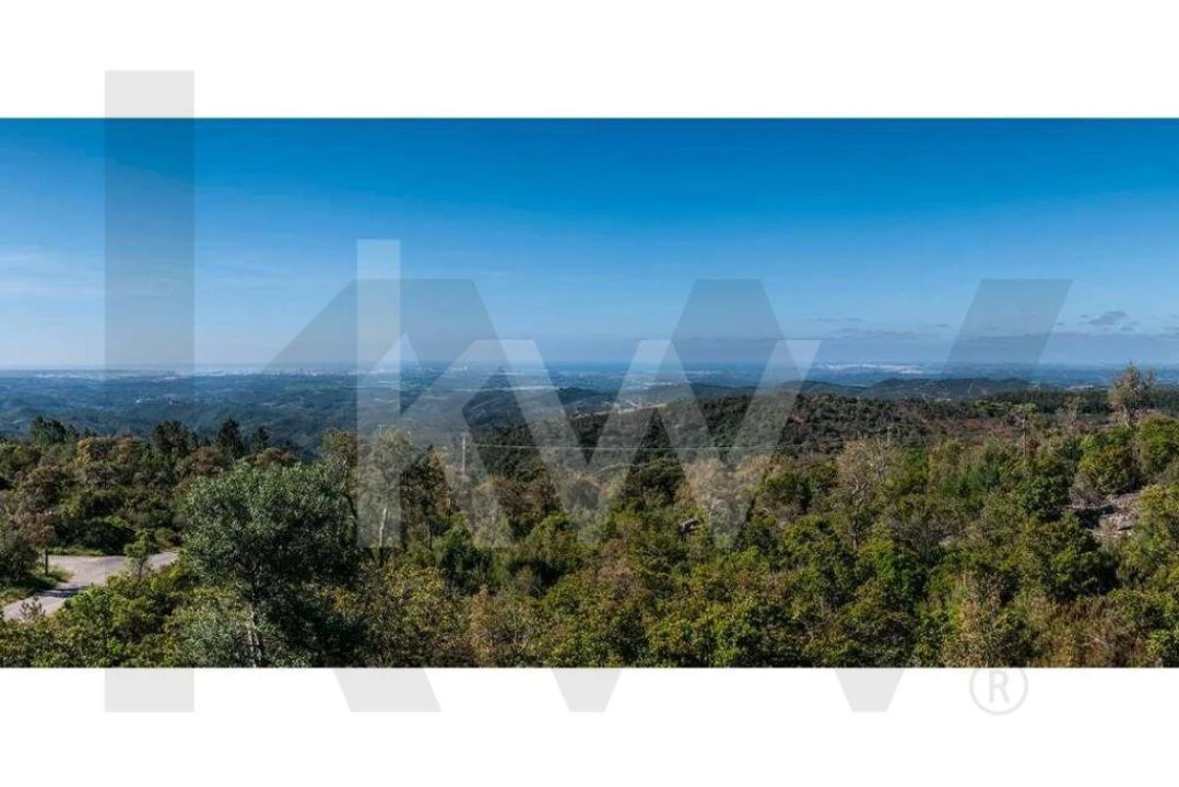 Terreno para Venda em Monchique Foto 1