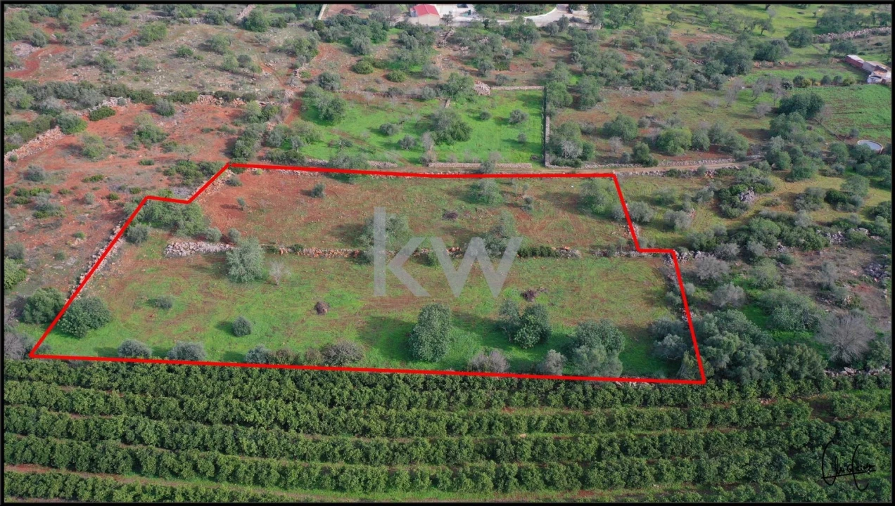 Terreno para Venda em Paderne Foto 3