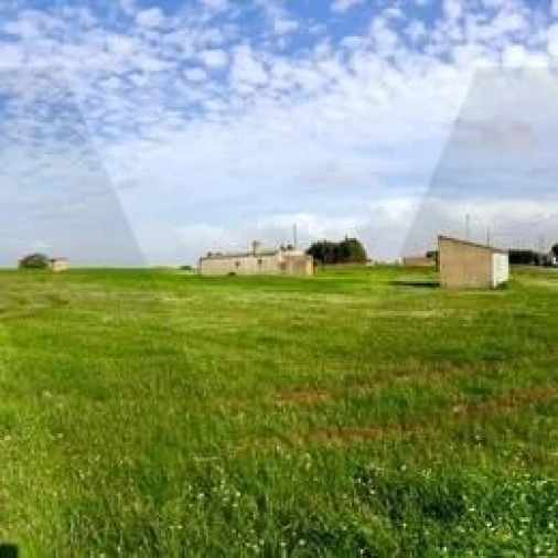 Quinta T1 para Venda em Cercal