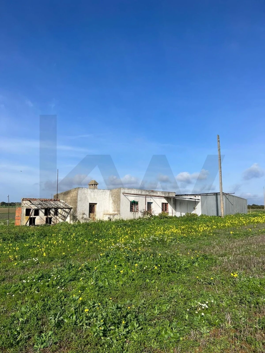 Quinta T1 para Venda em Cercal Foto 4