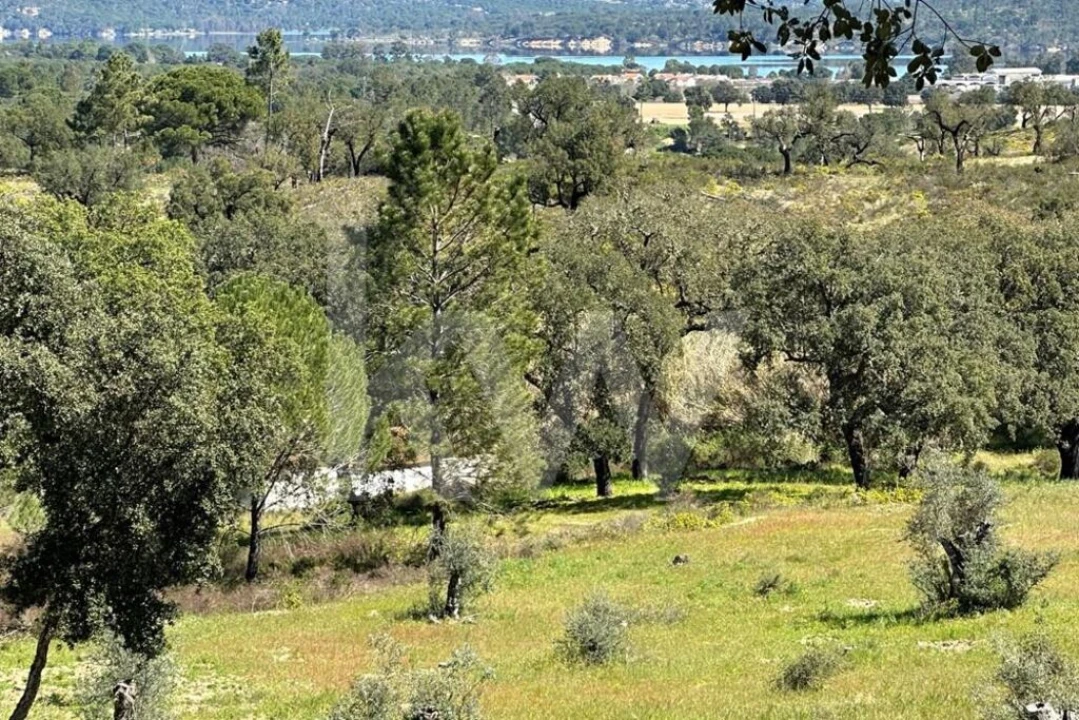 Terreno para Venda em Montargil Foto 1