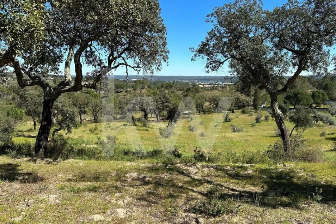 Terreno para Venda em Montargil Foto 2