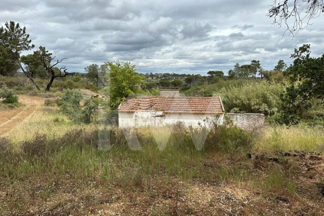 Terreno para Venda em Montargil Foto 7