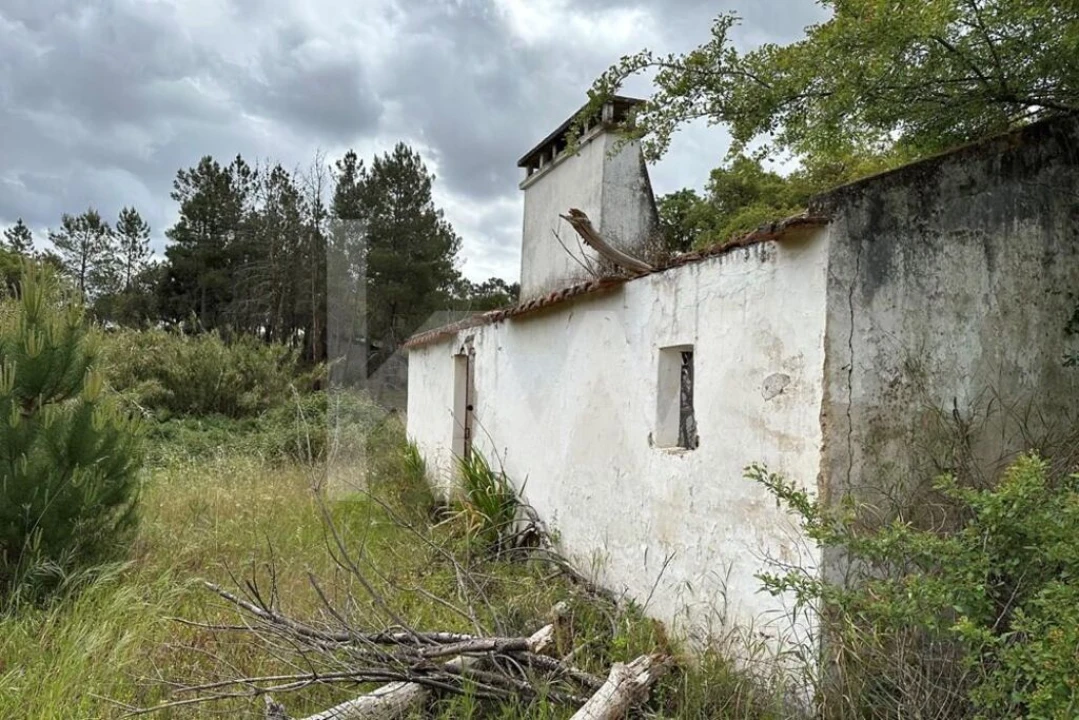 Terreno para Venda em Montargil Foto 8