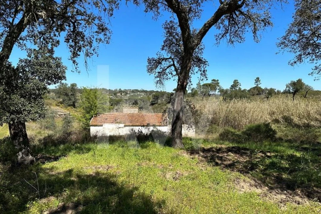 Terreno para Venda em Montargil Foto 5