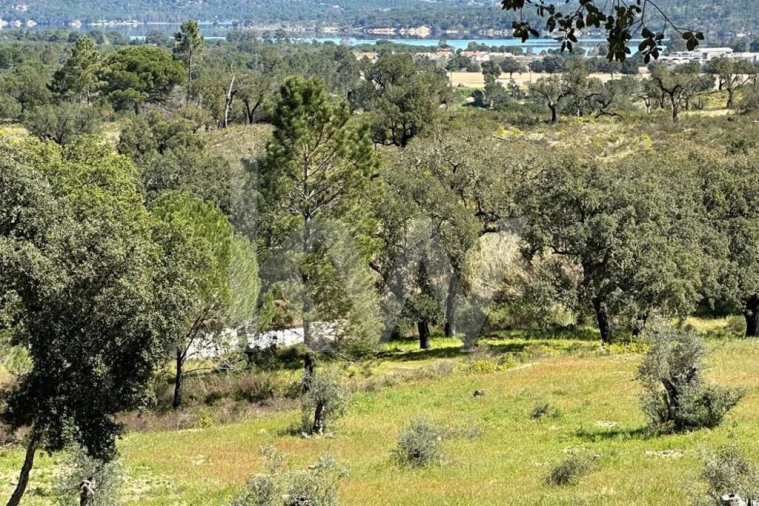 Terreno para Venda em Montargil