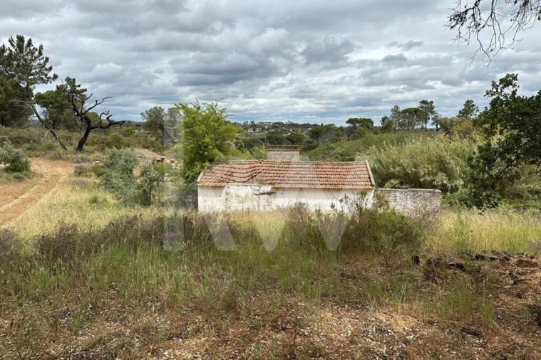 Terreno para Venda em Montargil Foto 7