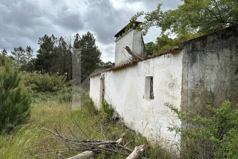 Terreno para Venda em Montargil Foto 8