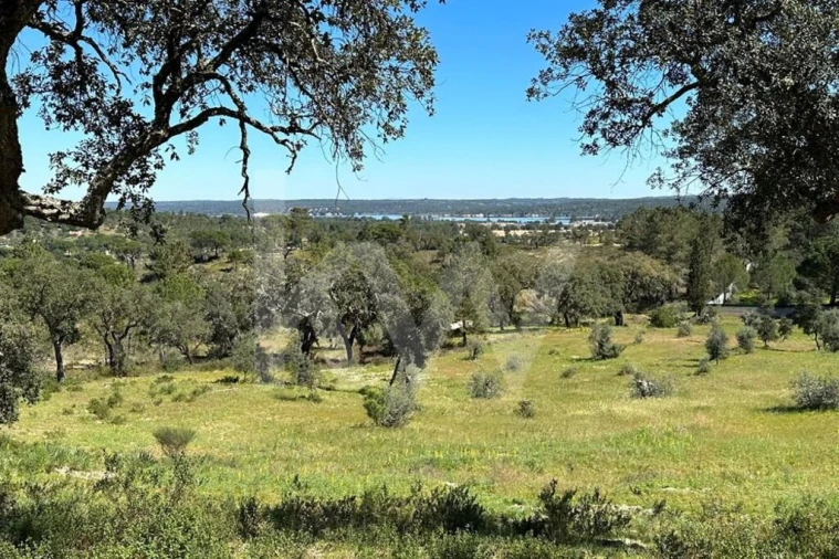 Terreno para Venda em Montargil Foto 4