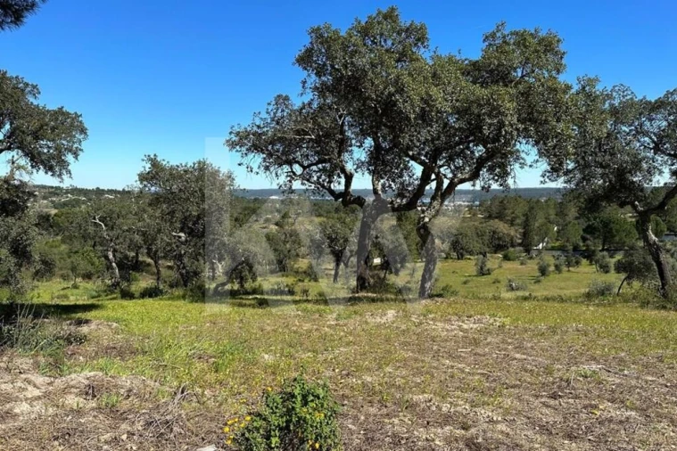 Terreno para Venda em Montargil Foto 3