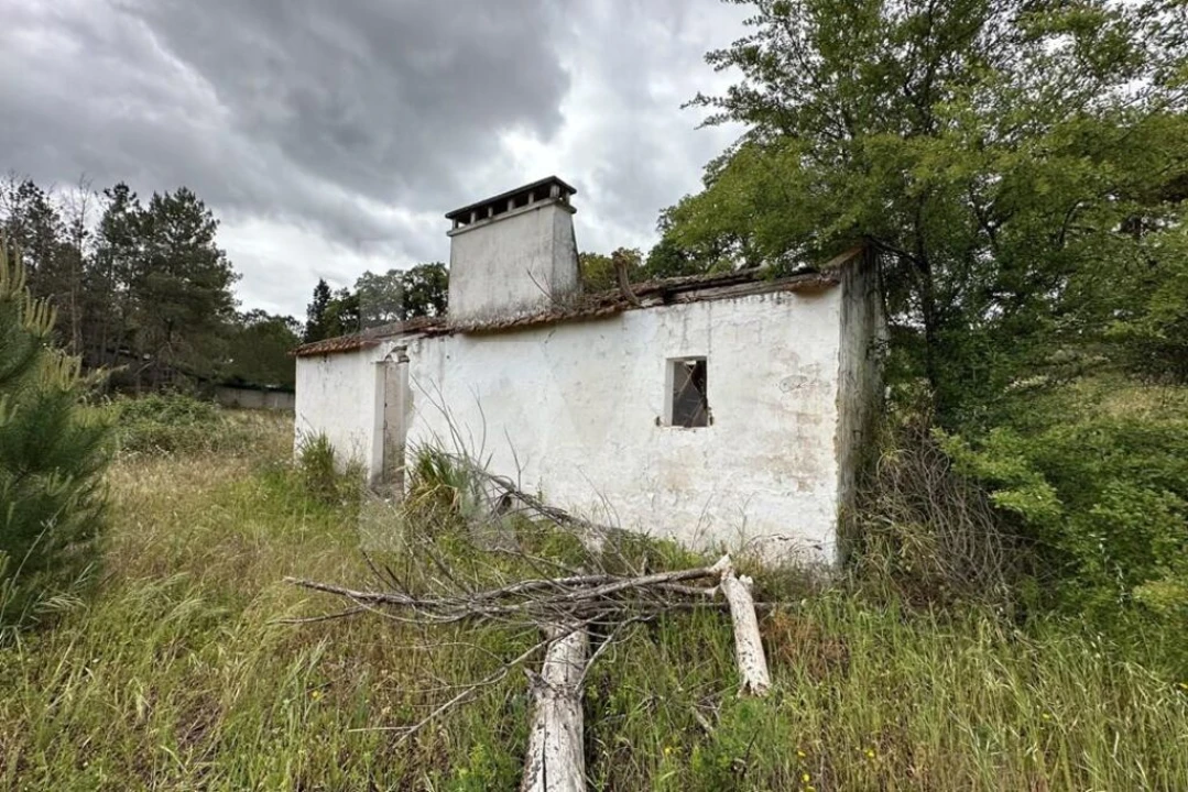 Terreno para Venda em Montargil Foto 9