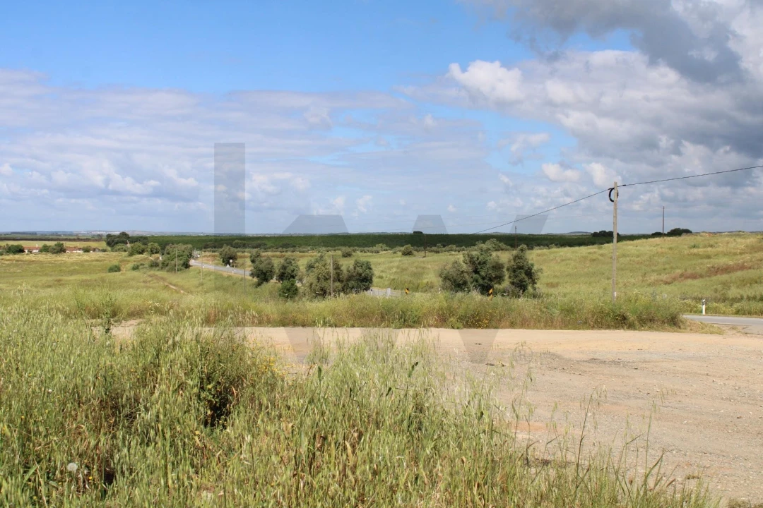 Terreno para Venda em Beja (Santiago Maior e São João Baptista) Foto 26