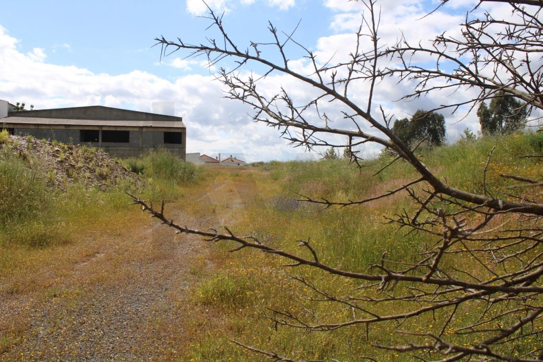 Terreno para Venda em Beja (Santiago Maior e São João Baptista) Foto 3