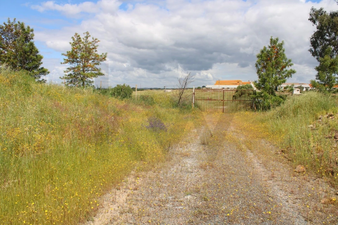 Terreno para Venda em Beja (Santiago Maior e São João Baptista) Foto 21