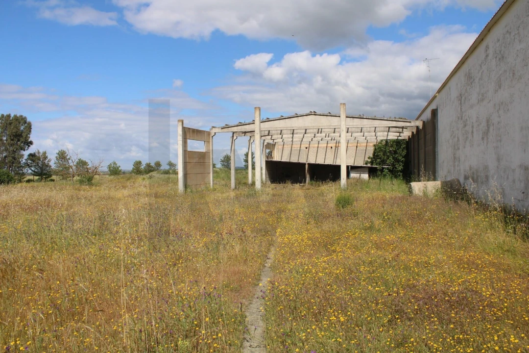 Terreno para Venda em Beja (Santiago Maior e São João Baptista) Foto 11