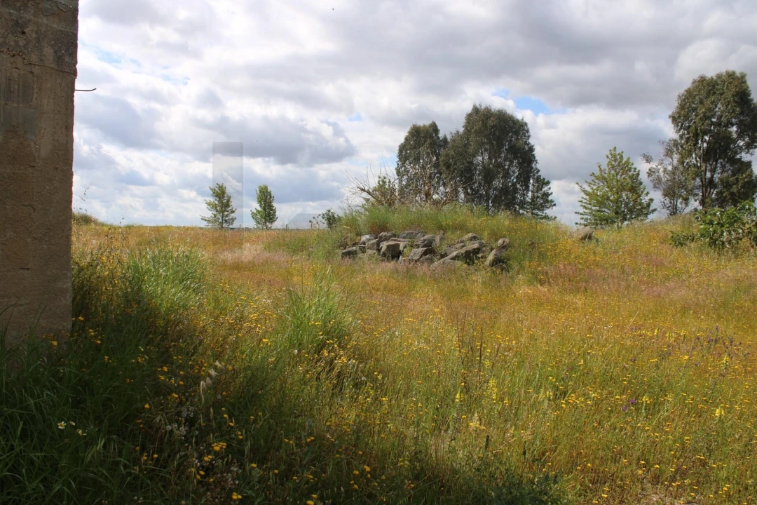 Terreno para Venda em Beja (Santiago Maior e São João Baptista) Foto 13