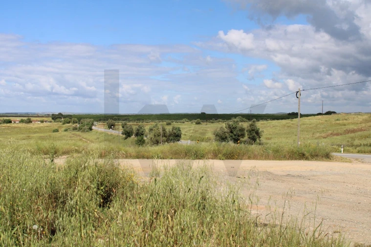 Terreno para Venda em Beja (Santiago Maior e São João Baptista) Foto 26