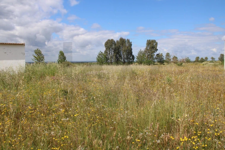 Terreno para Venda em Beja (Santiago Maior e São João Baptista) Foto 17