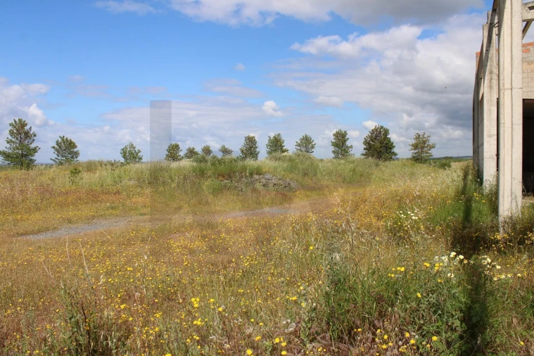 Terreno para Venda em Beja (Santiago Maior e São João Baptista) Foto 19