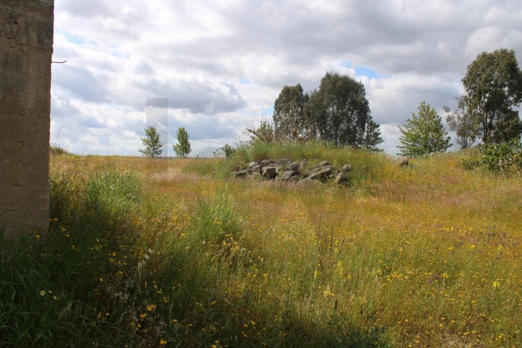 Terreno para Venda em Beja (Santiago Maior e São João Baptista) Foto 13