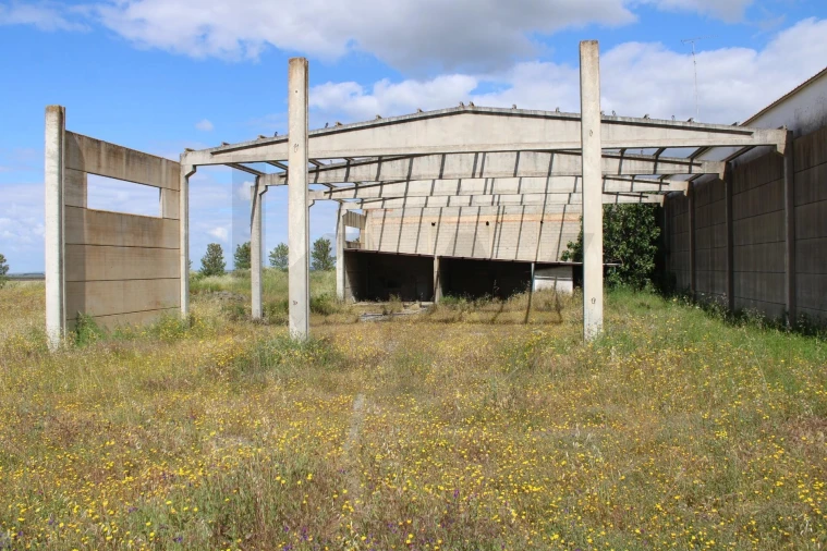 Terreno para Venda em Beja (Santiago Maior e São João Baptista) Foto 9