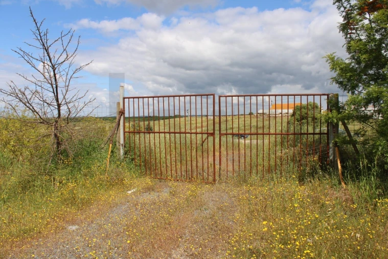 Terreno para Venda em Beja (Santiago Maior e São João Baptista) Foto 22