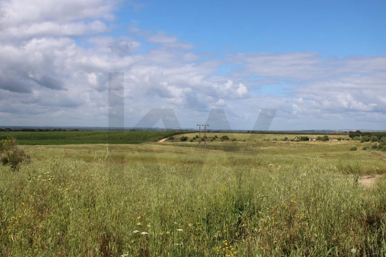 Terreno para Venda em Beja (Santiago Maior e São João Baptista) Foto 25