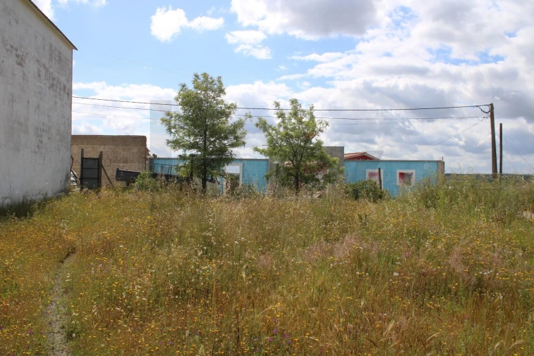 Terreno para Venda em Beja (Santiago Maior e São João Baptista) Foto 12