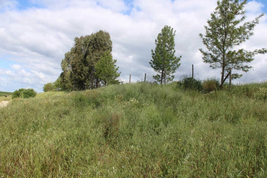 Terreno para Venda em Beja (Santiago Maior e São João Baptista) Foto 24