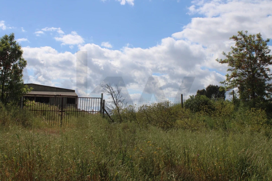 Terreno para Venda em Beja (Santiago Maior e São João Baptista) Foto 23