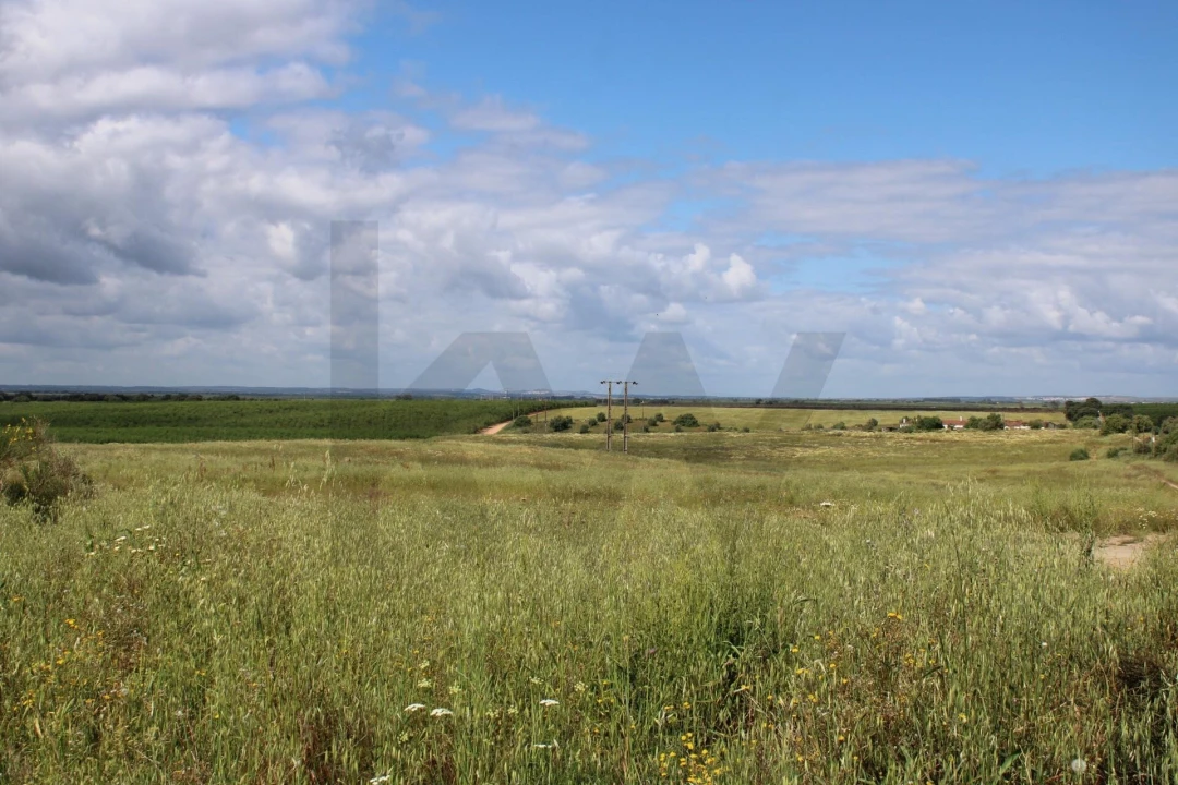 Terreno para Venda em Beja (Santiago Maior e São João Baptista) Foto 25