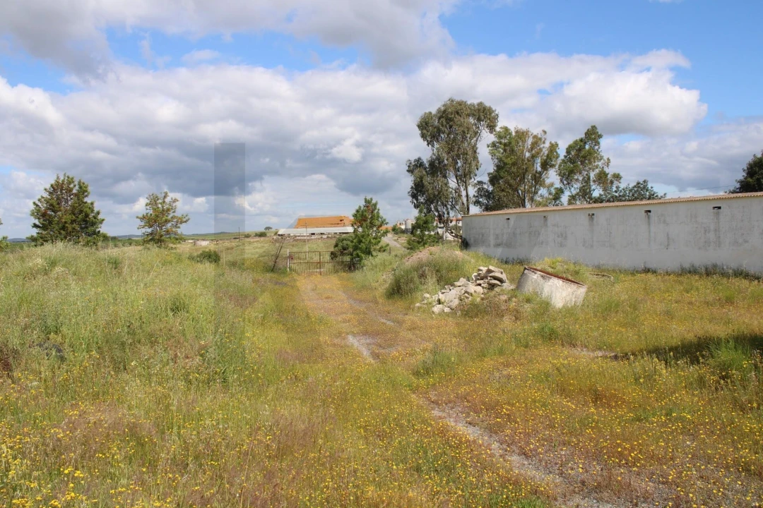 Terreno para Venda em Beja (Santiago Maior e São João Baptista) Foto 20