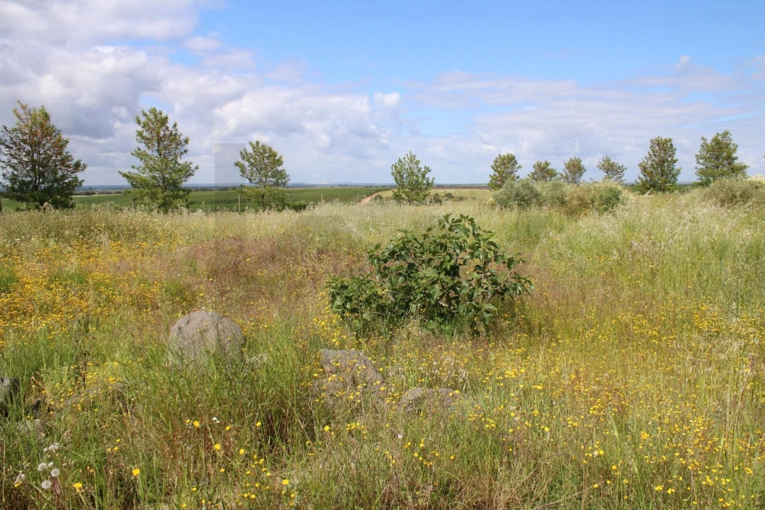 Terreno para Venda em Beja (Santiago Maior e São João Baptista) Foto 15