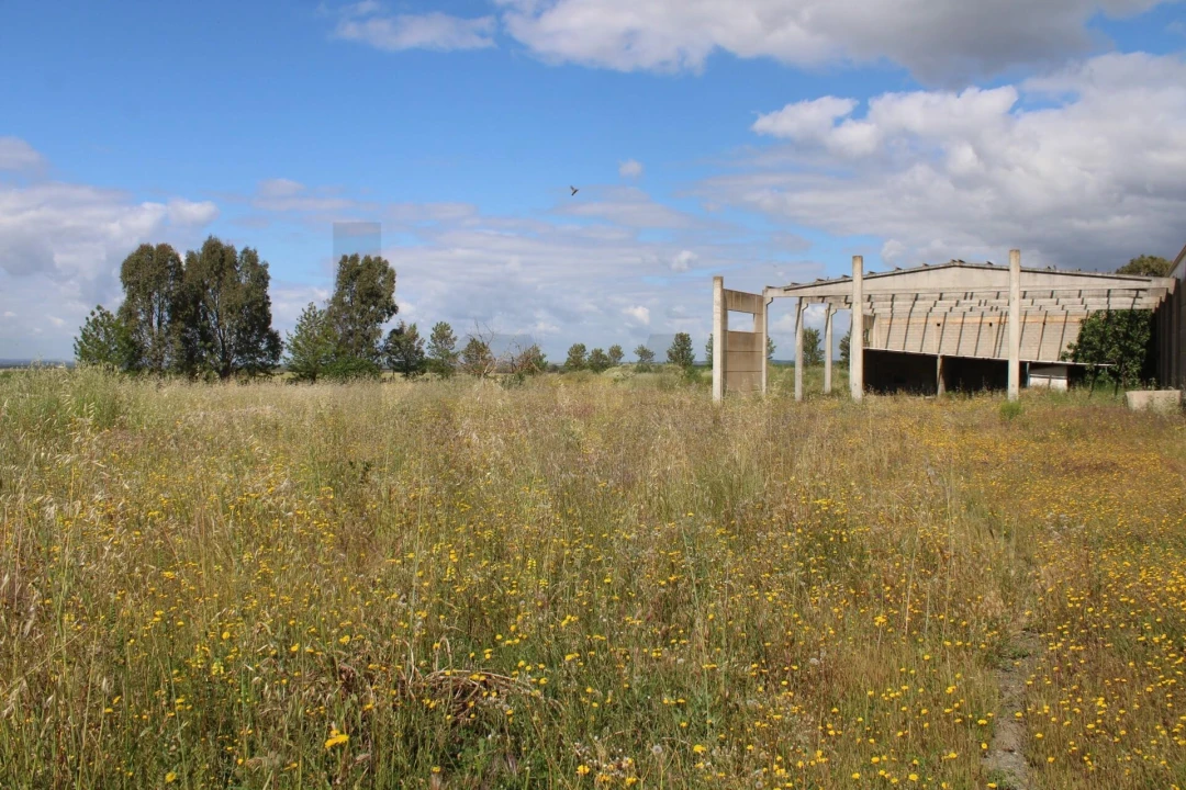 Terreno para Venda em Beja (Santiago Maior e São João Baptista) Foto 10