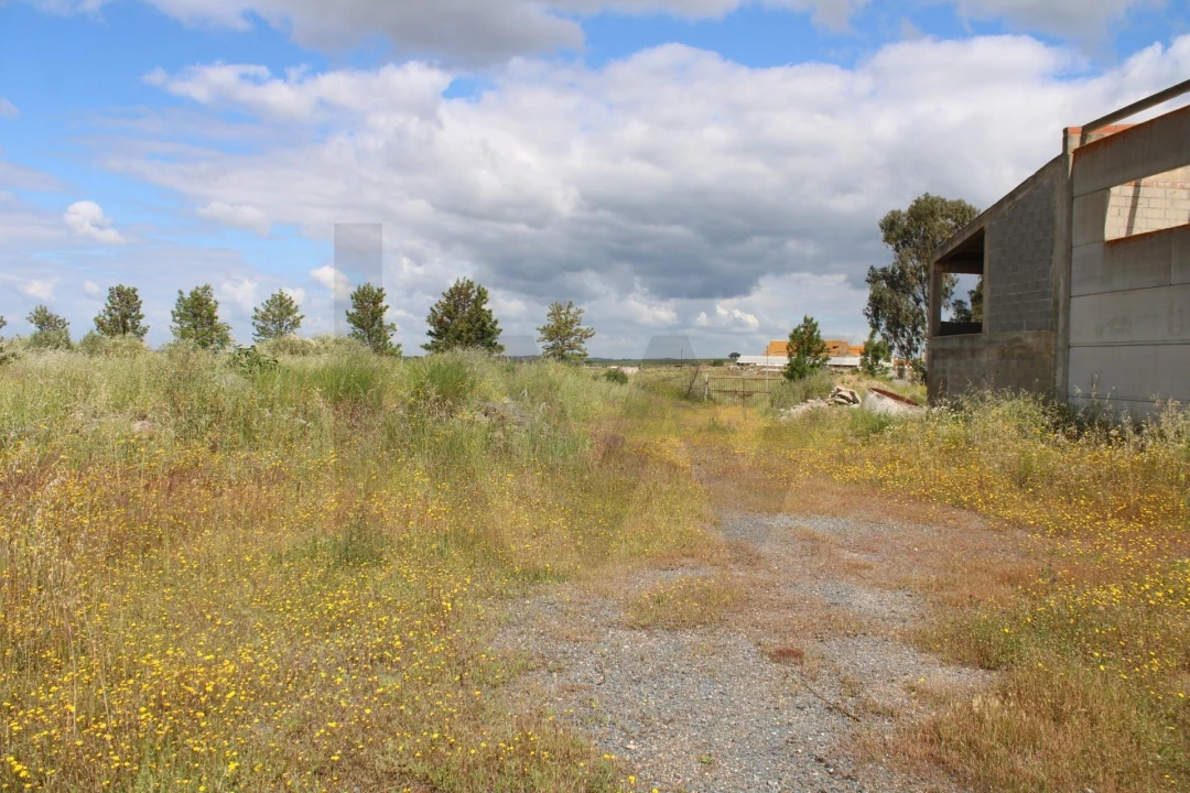 Terreno para Venda em Beja (Santiago Maior e São João Baptista) Foto 18