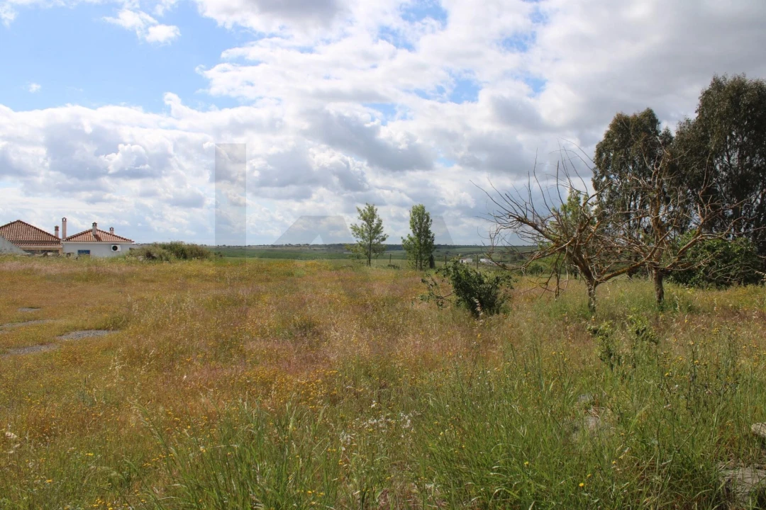 Terreno para Venda em Beja (Santiago Maior e São João Baptista) Foto 16