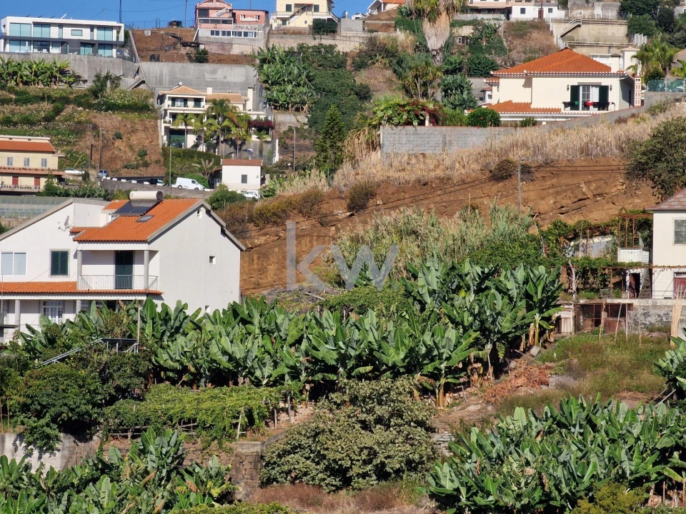 Terreno para Venda em Ponta do Sol Foto 13