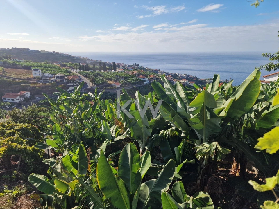 Terreno para Venda em Ponta do Sol Foto 10