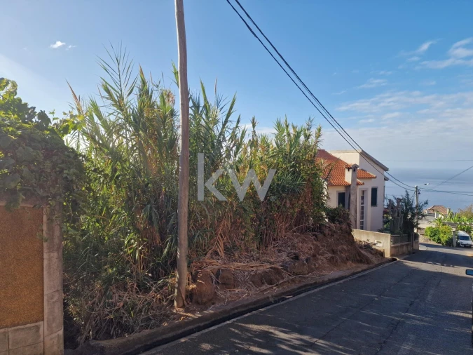 Terreno para Venda em Ponta do Sol Foto 2