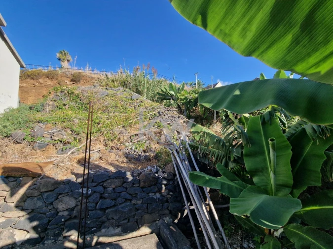 Terreno para Venda em Ponta do Sol Foto 7