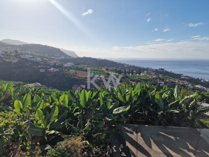 Terreno para Venda em Ponta do Sol Foto 5