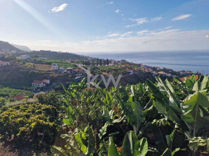 Terreno para Venda em Ponta do Sol Foto 9