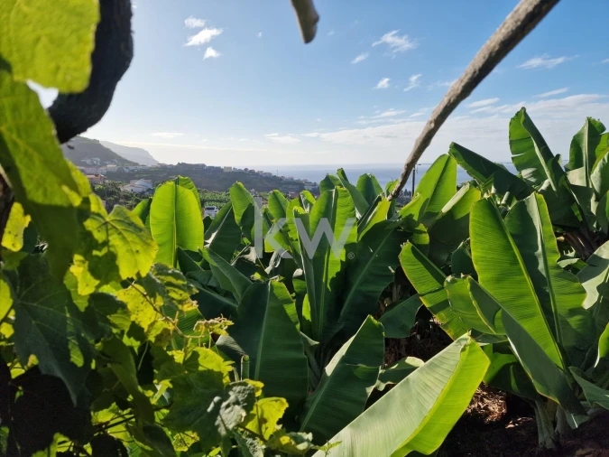 Terreno para Venda em Ponta do Sol Foto 6
