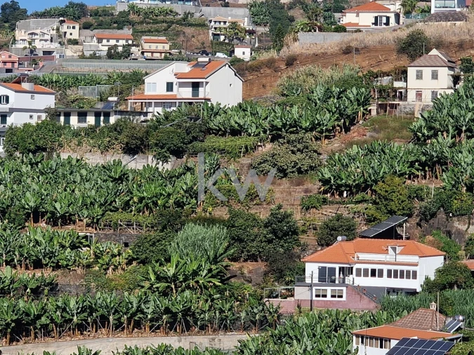 Terreno para Venda em Ponta do Sol Foto 14