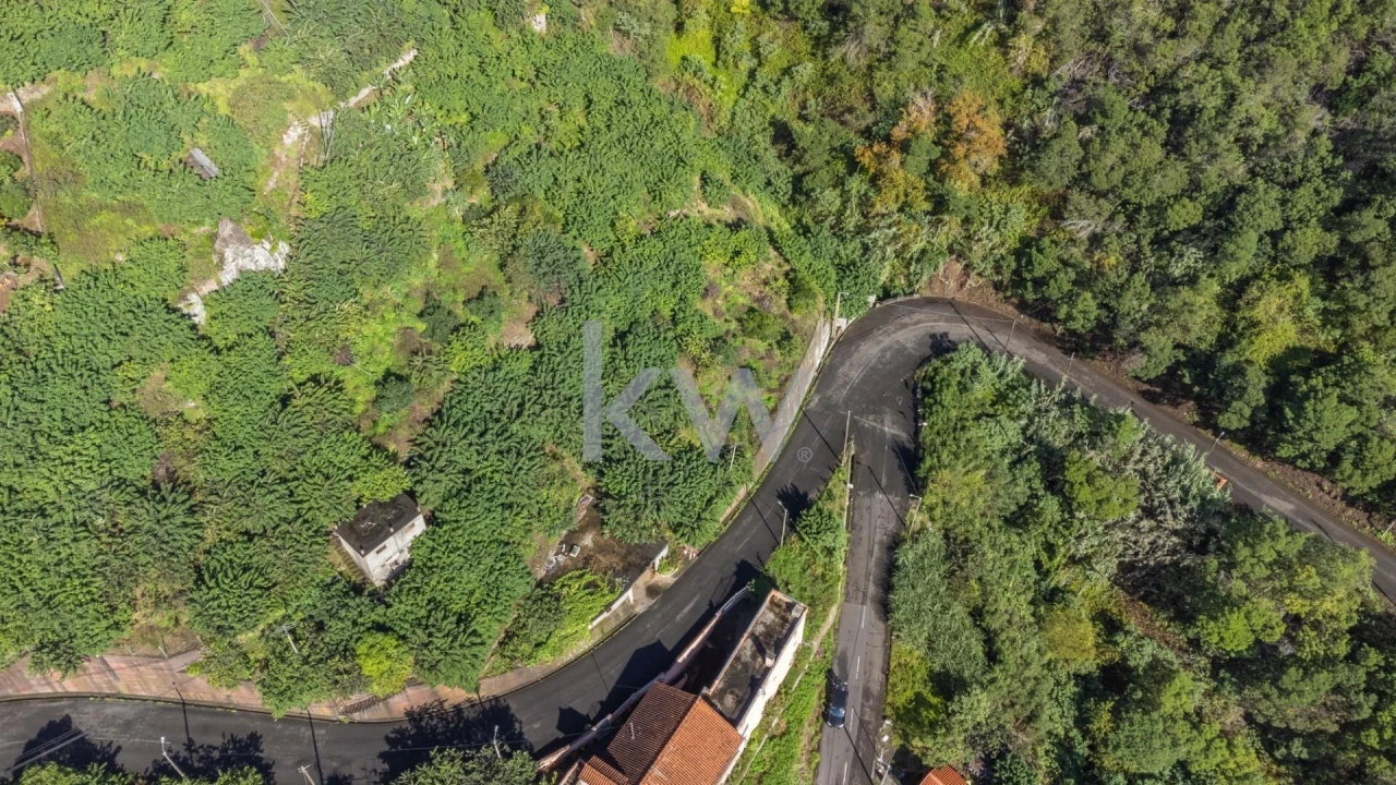 Terreno para Venda em São Roque do Faial Foto 6