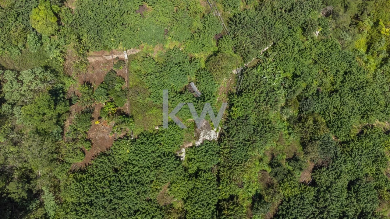 Terreno para Venda em São Roque do Faial Foto 10