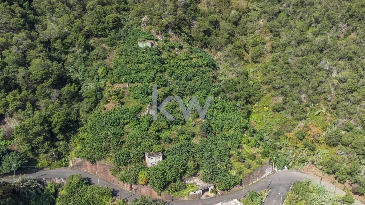 Terreno para Venda em São Roque do Faial Foto 1
