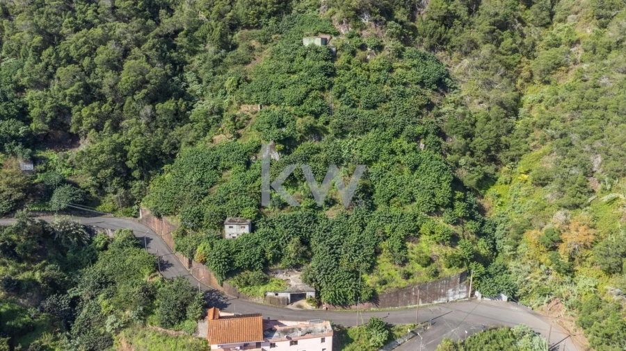 Terreno para Venda em São Roque do Faial Foto 3