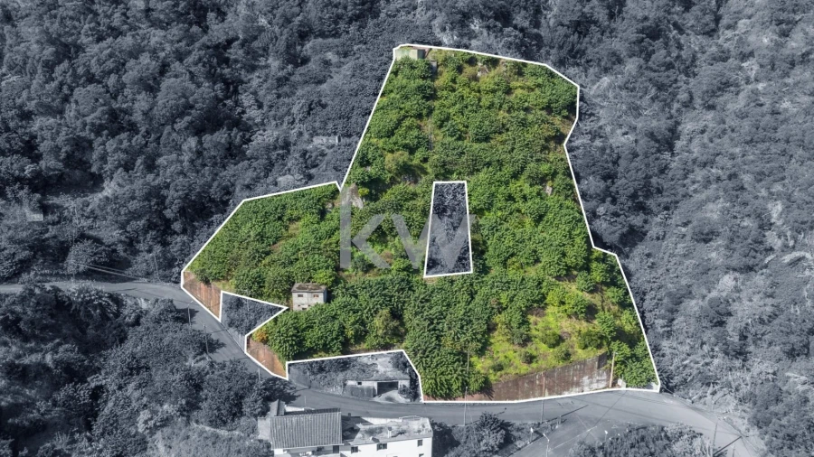 Terreno para Venda em São Roque do Faial Foto 4