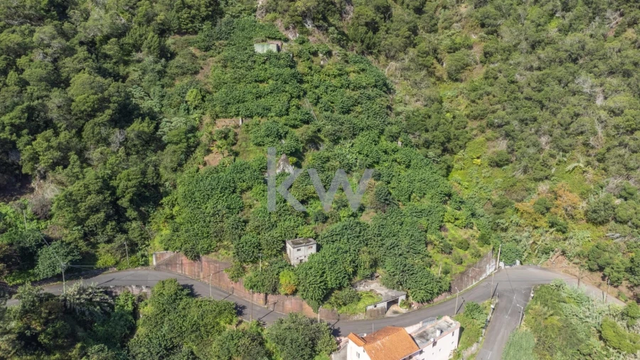 Terreno para Venda em São Roque do Faial Foto 11